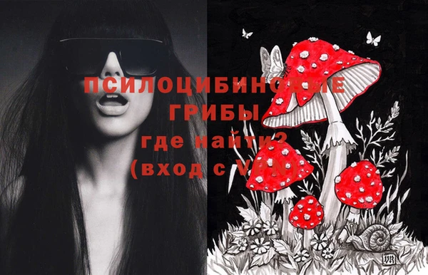 не бодяженный Аркадак