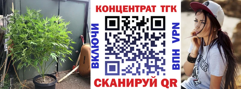 дарнет шоп  Удомля  мега как войти  Дистиллят ТГК концентрат 