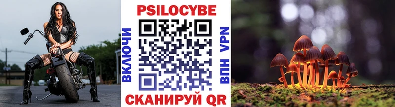 гидра как войти  Удомля  маркетплейс формула  Псилоцибиновые грибы GOLDEN TEACHER 